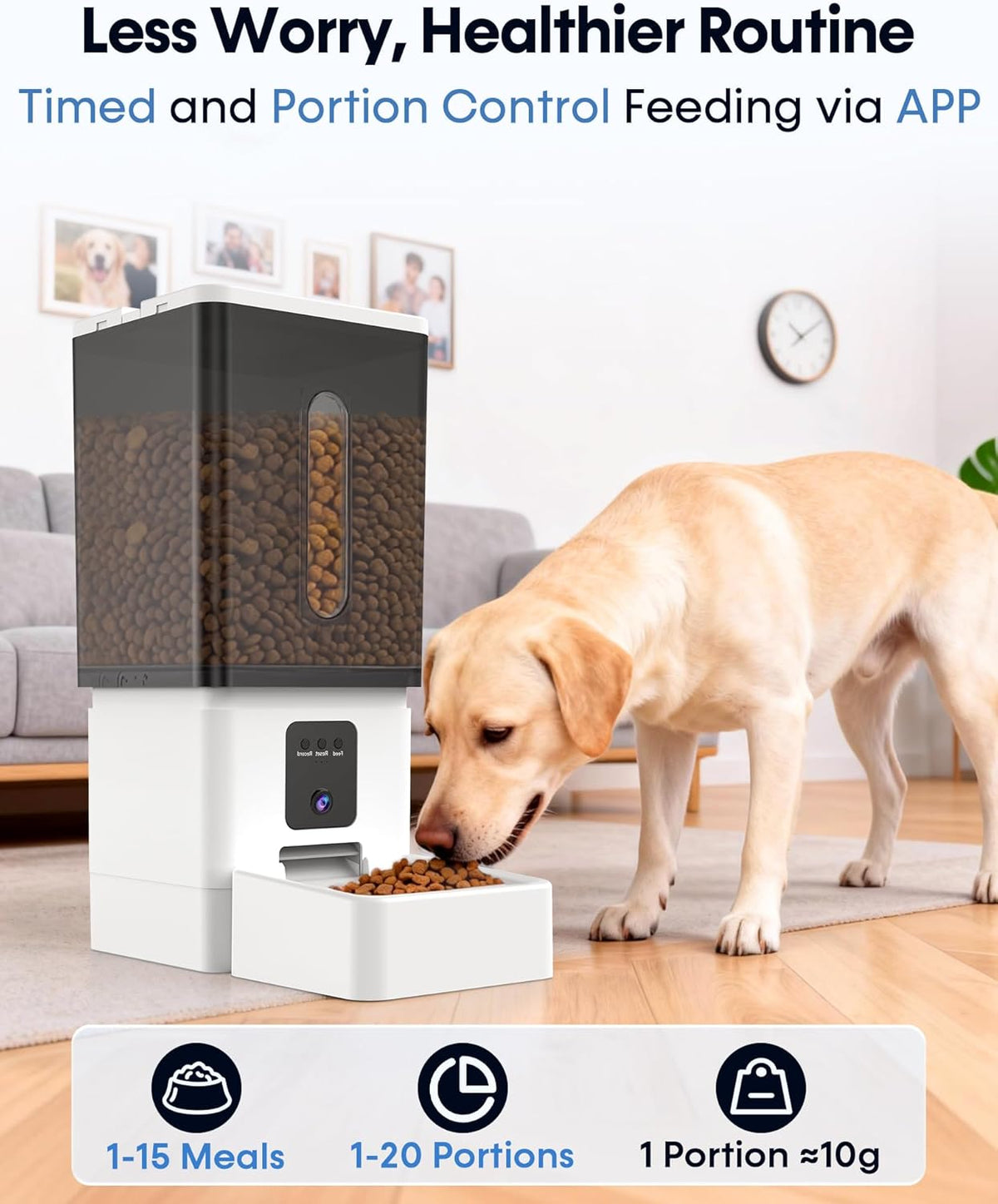 Wnfuo automatic dog food dispenser highlighting the twenty millimeter anti clog wide chute