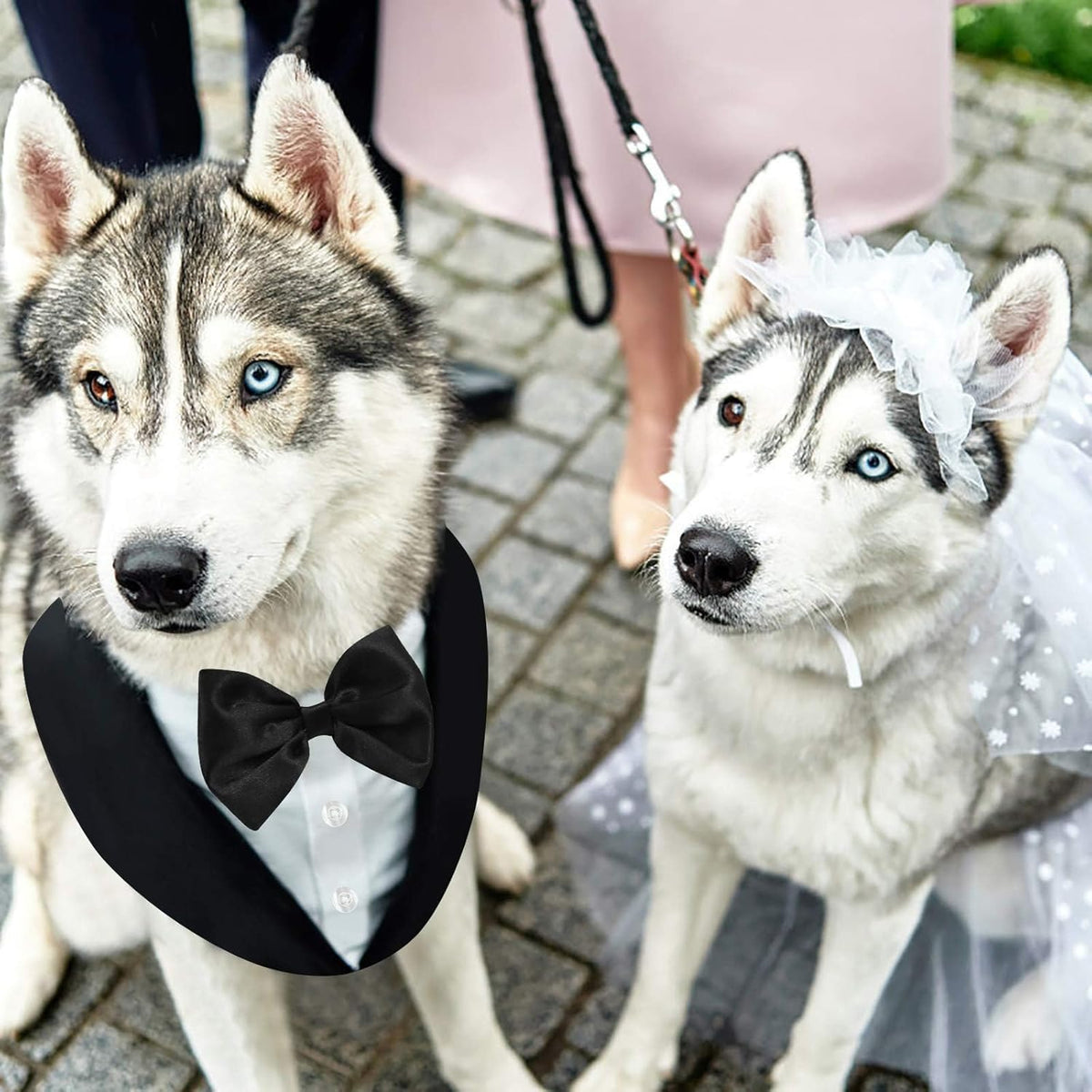 Adjustable hook and loop fasteners on a dapper pet outfit