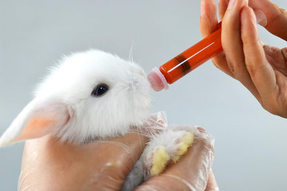 SHAOTONG pet care kit featuring one two five and ten milliliter feeding syringes.