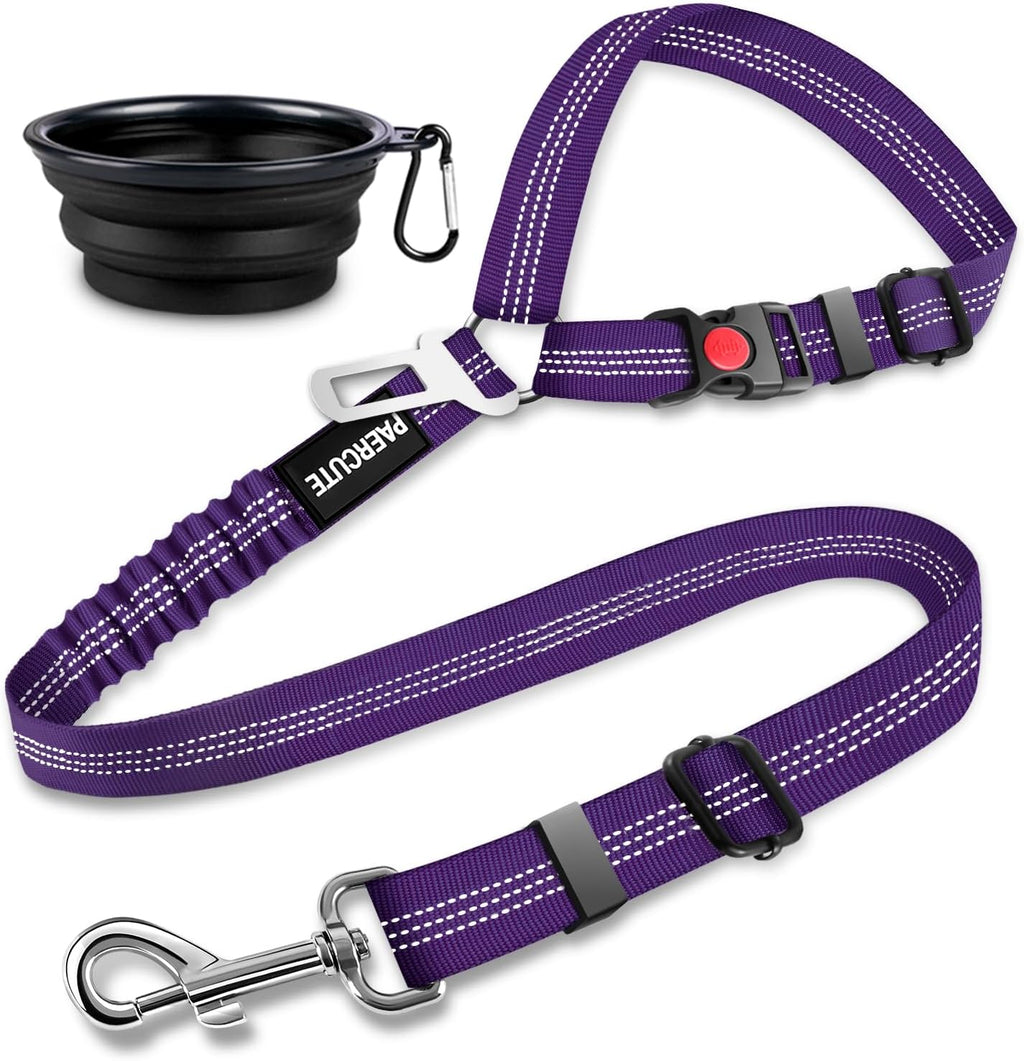 Paercute dog safety lead showing adjustable length mechanism
