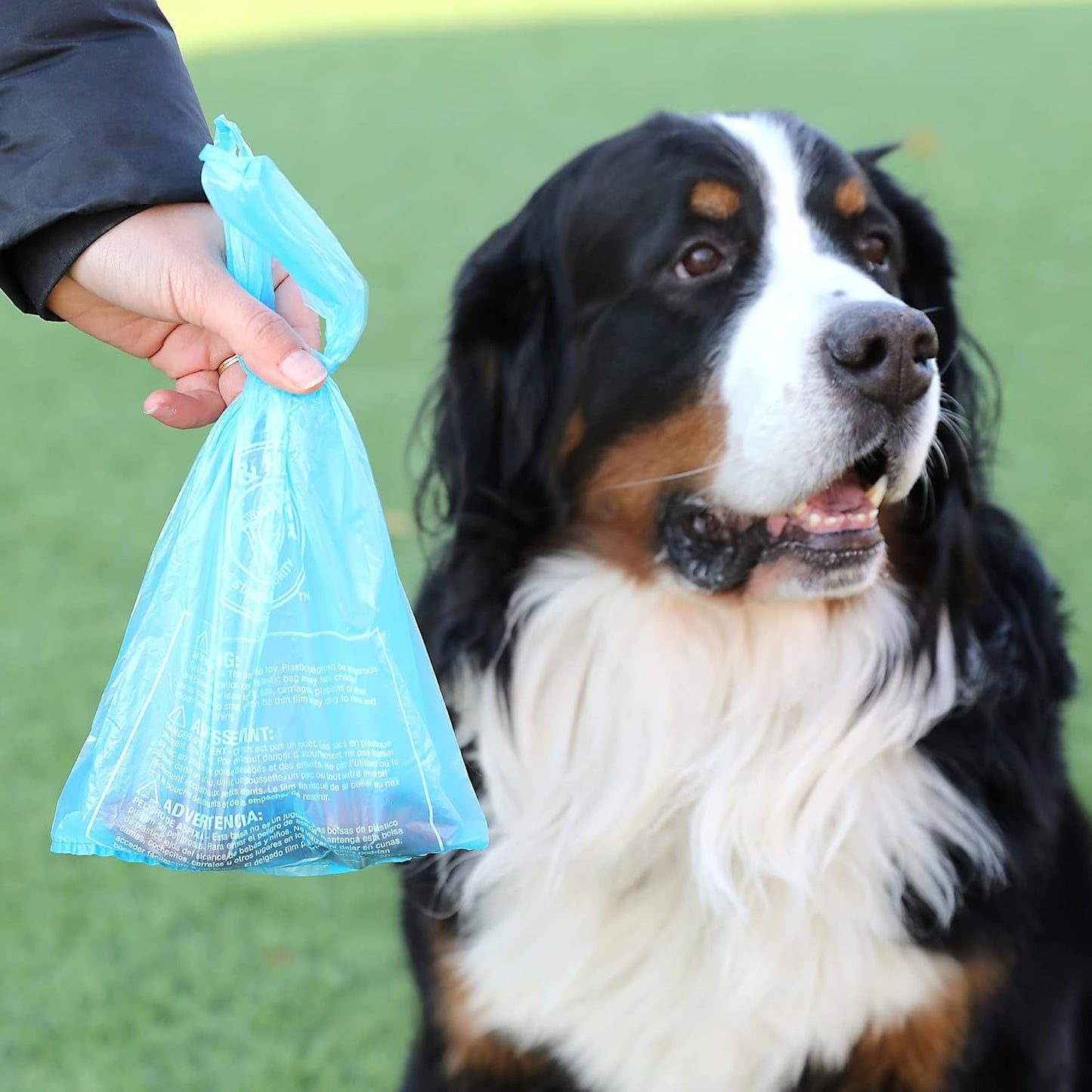 Heavy duty blue pet waste bags showing easy tie design