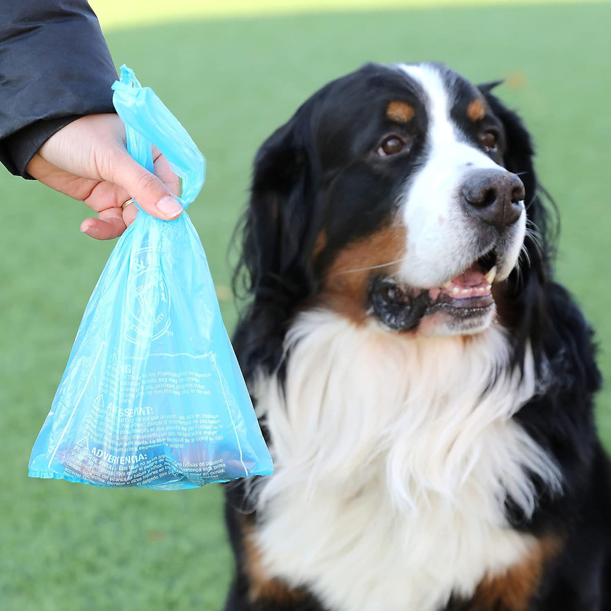 Heavy duty blue pet waste bags showing easy tie design