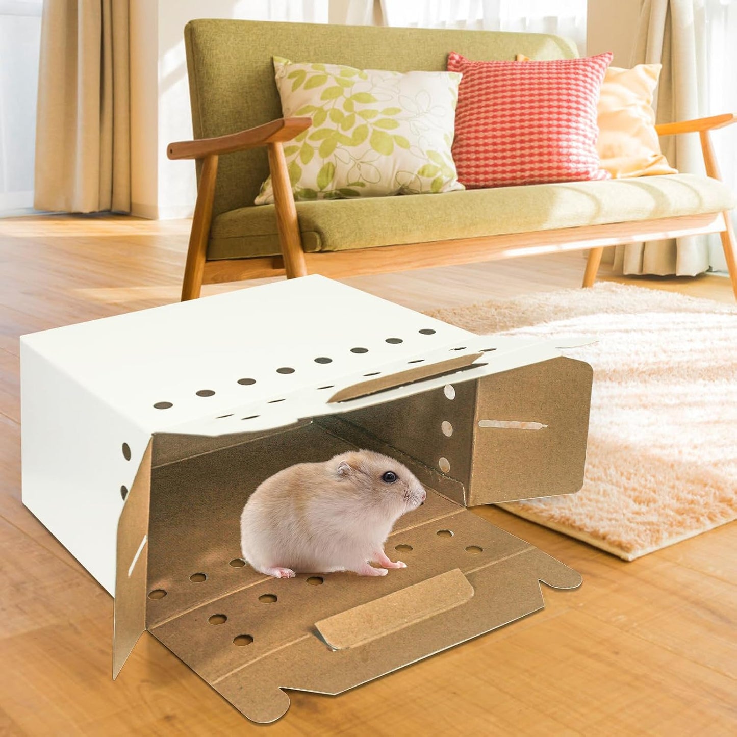 Disposable Cardboard Pet Carrier for Small Animals-12 Pack - Image 4