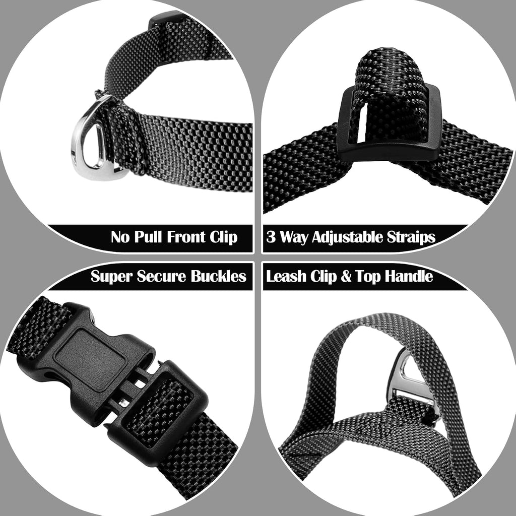 Annchwool dog harness and matching leash set side view