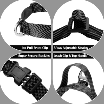 Annchwool dog harness and matching leash set side view