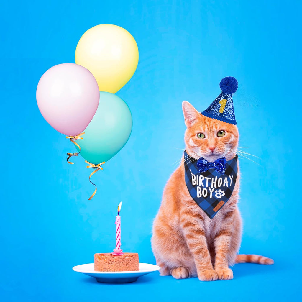 Blue plaid cat bandana for birthday celebration