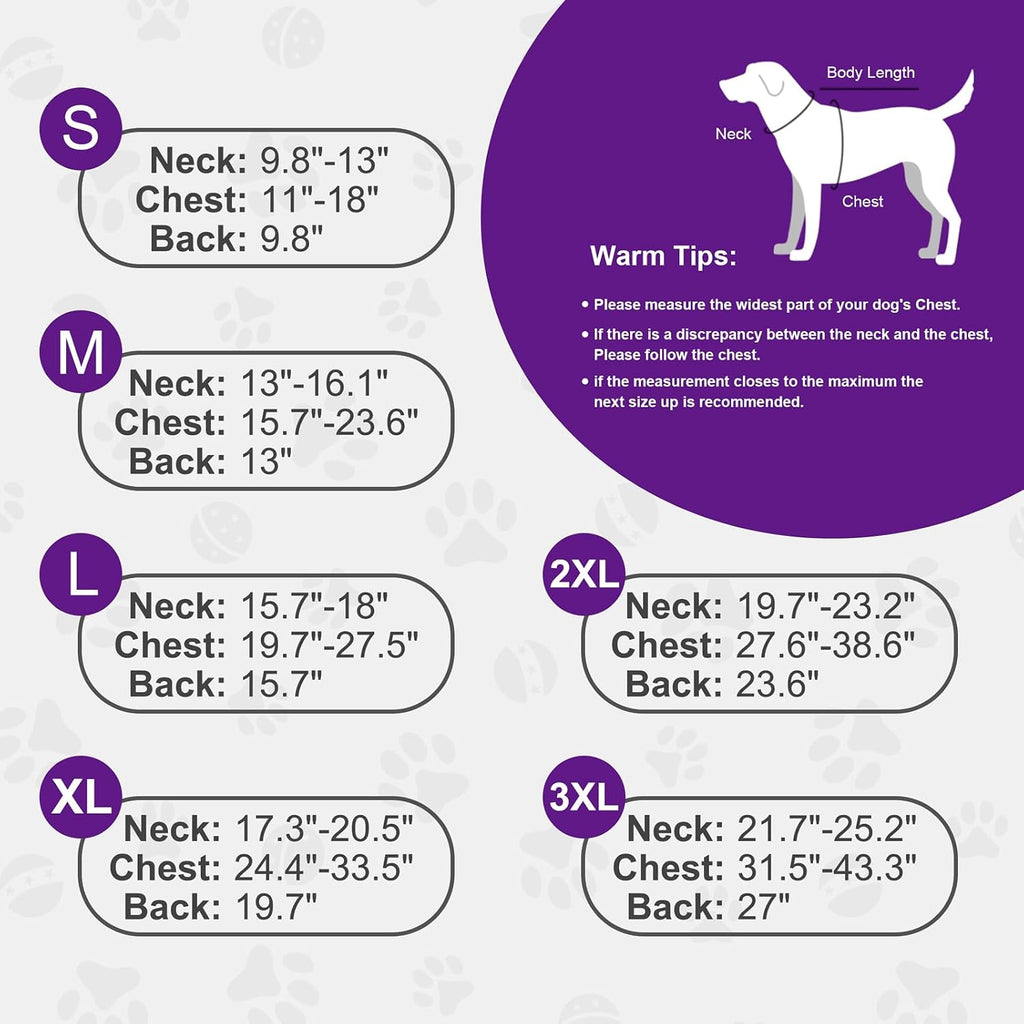 Dog wearing Doglay purple winter coat in cold weather setting