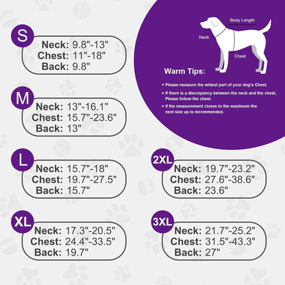 Dog wearing Doglay purple winter coat in cold weather setting