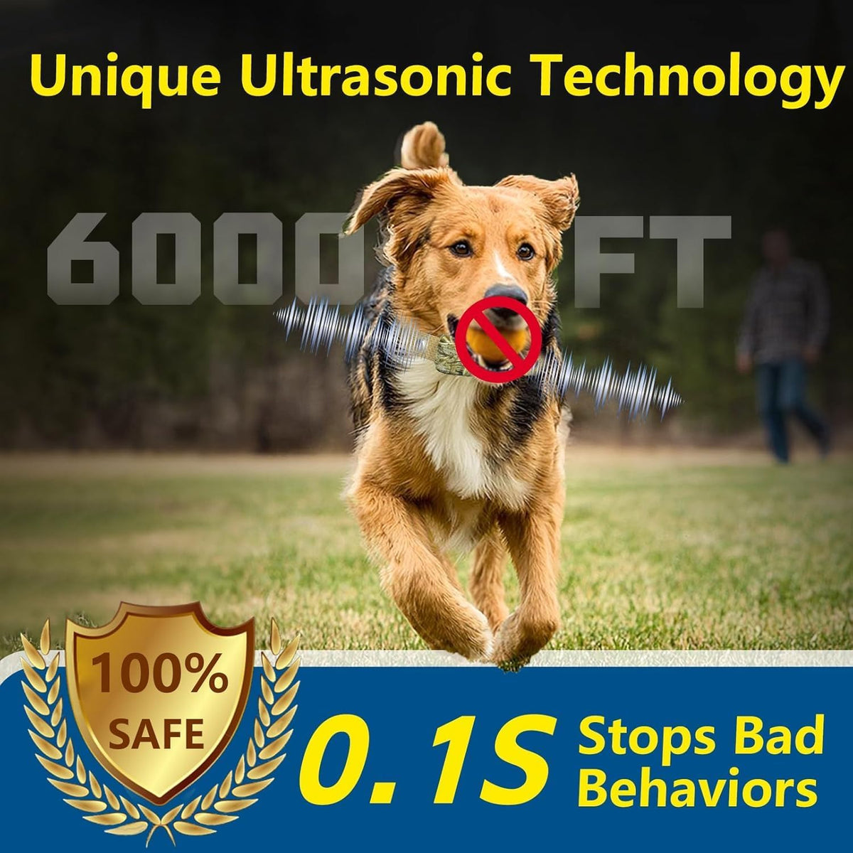 Waterproof receiver collar for dogs showcasing the secure contact points and sleek protective casing.
