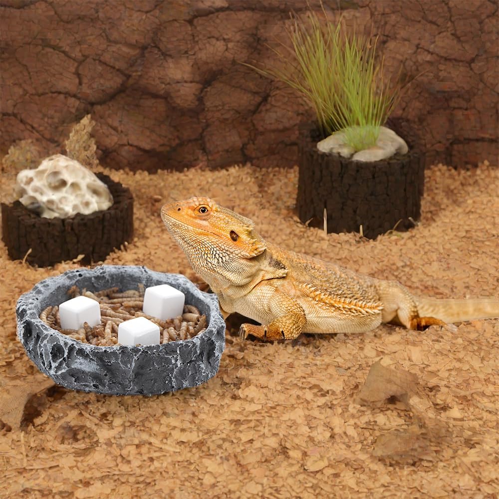 DQITJ slow release reptile calcium block dissolving in water tank