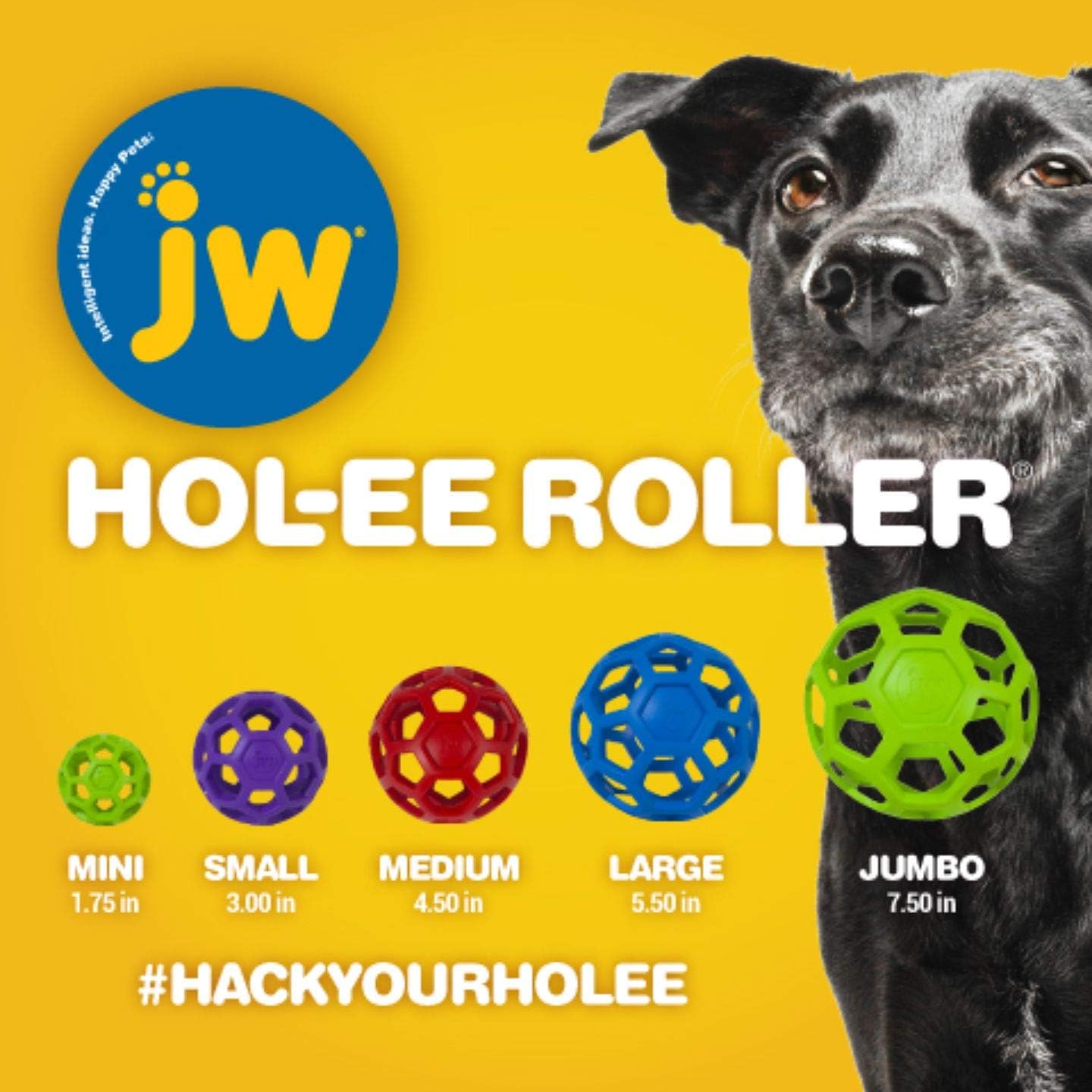 Puppy playing with JW Pet Hol-ee Roller natural rubber toy
