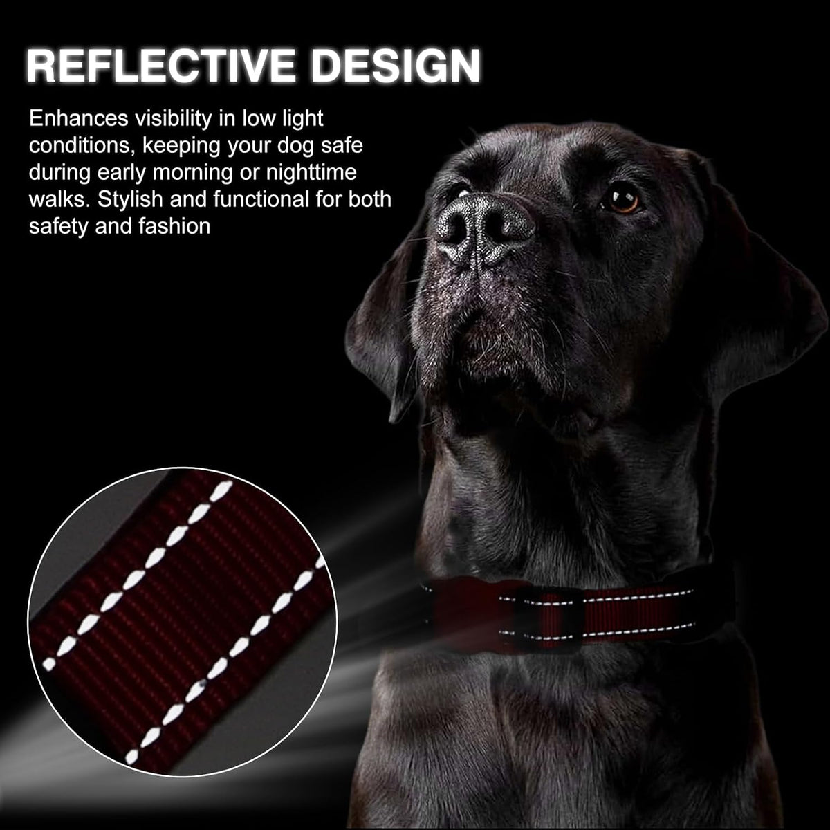 CHRYMPETIC custom ID pet collar with phone number embroidery view