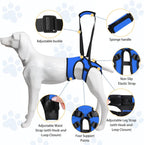 Rear assist dog harness with bathroom break cut-out design