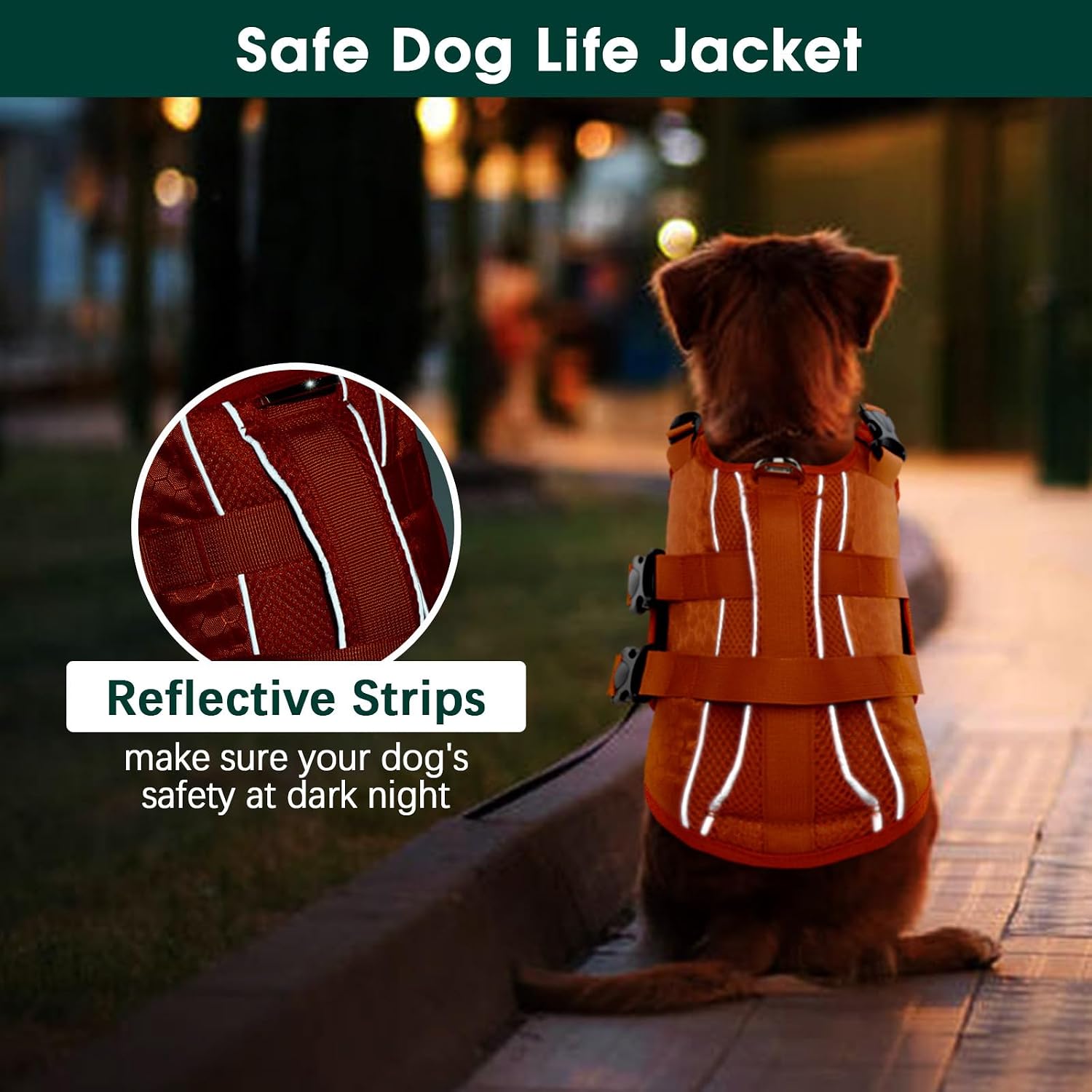 Kuoser dog water vest close up on double quick release buckles