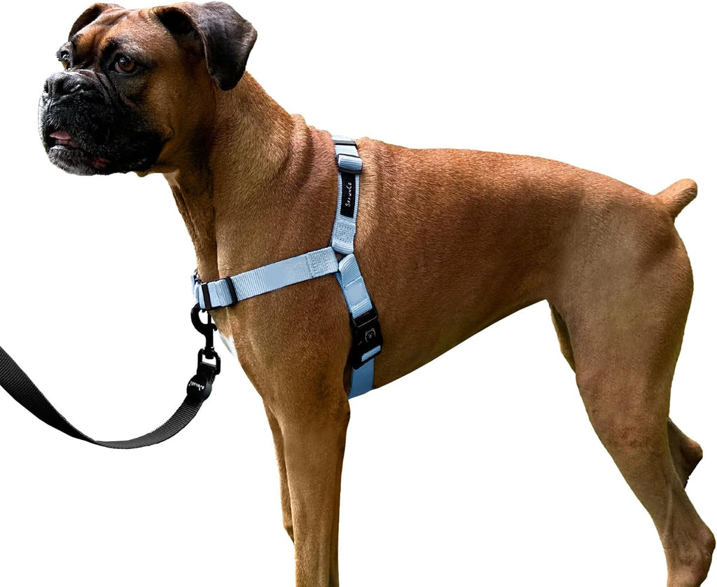 ShawnCo Dream Walk No-Pull Dog Harness- Adjustable, Comfortable, Easy to Use Pet Halter to Help Stop Pulling for Small, Medium and Large Dogs (Oceanic Blue, L) - Image 10