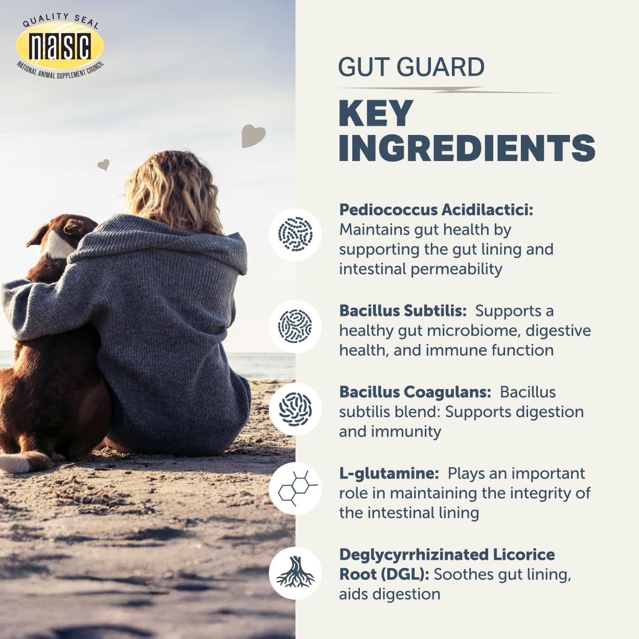 Holistic veterinarian formulated prebiotics and probiotics for leaky gut relief.