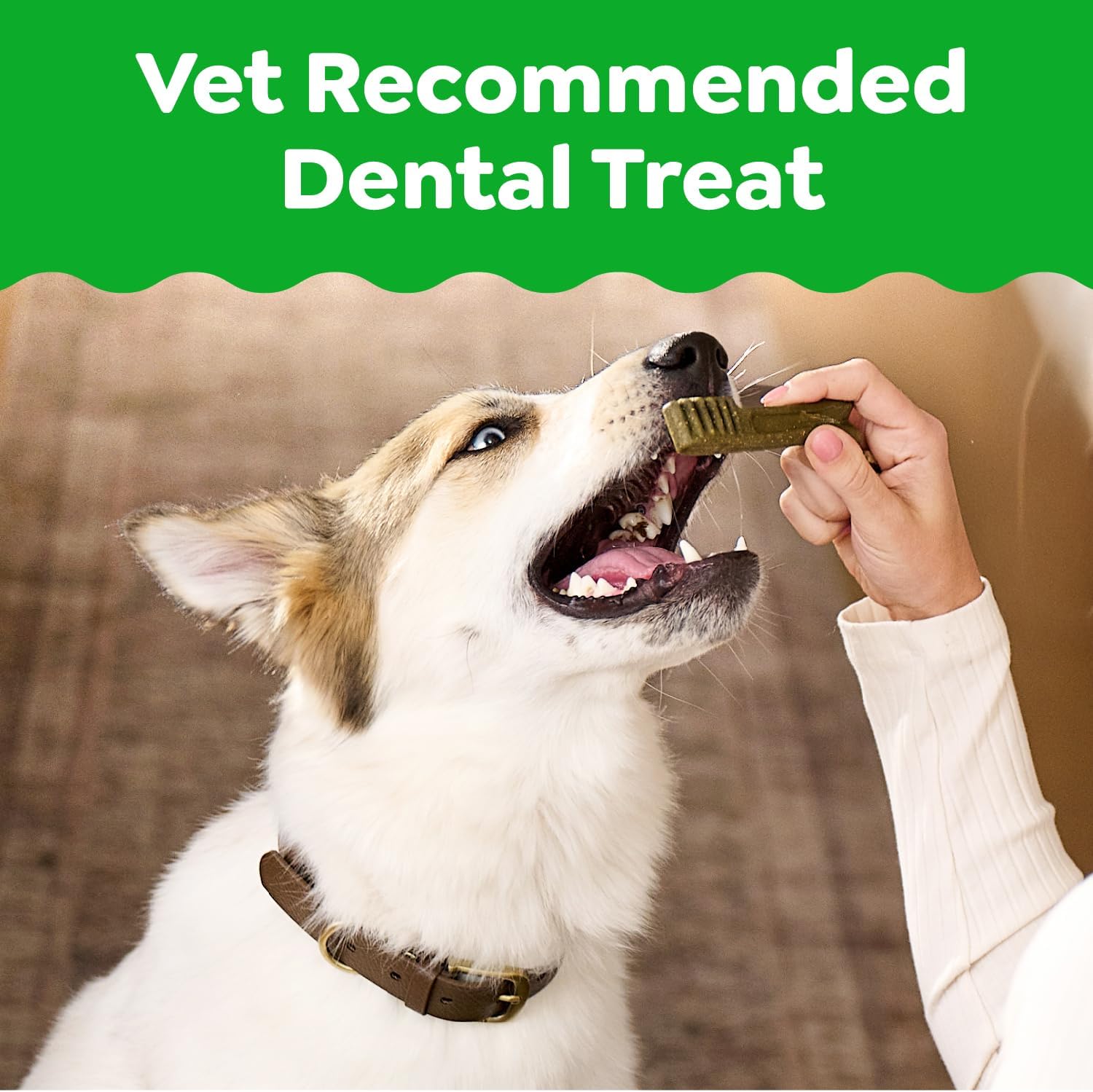 Greenies veterinarian recommended natural dental chews packaging details