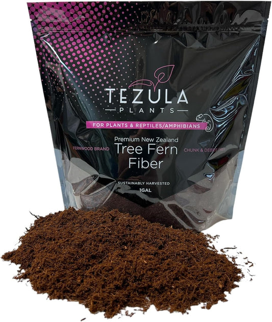 Tezula Plants Premium New Zealand Tree Fern Fiber front view of packaging