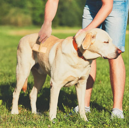 Back view of the sustainable bamboo body of the Muse And Iris multi purpose pet comb.