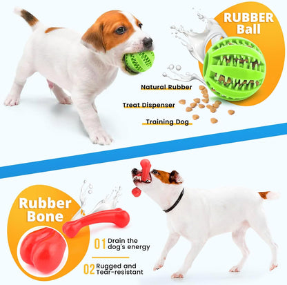 Full set of Loyee luxury puppy toys variety pack