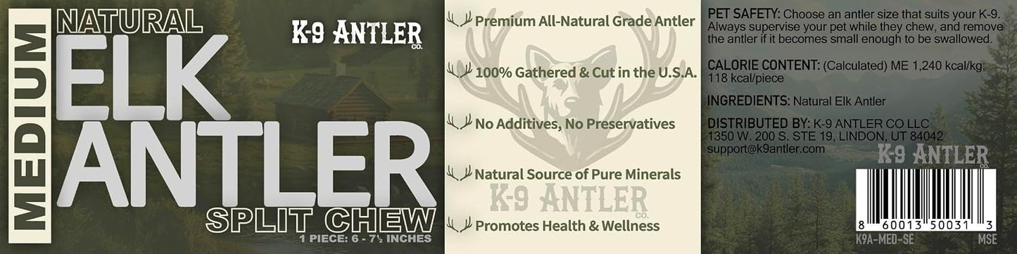 Dog enjoying long lasting natural elk antler treat