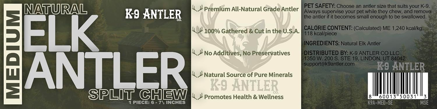 Dog enjoying long lasting natural elk antler treat
