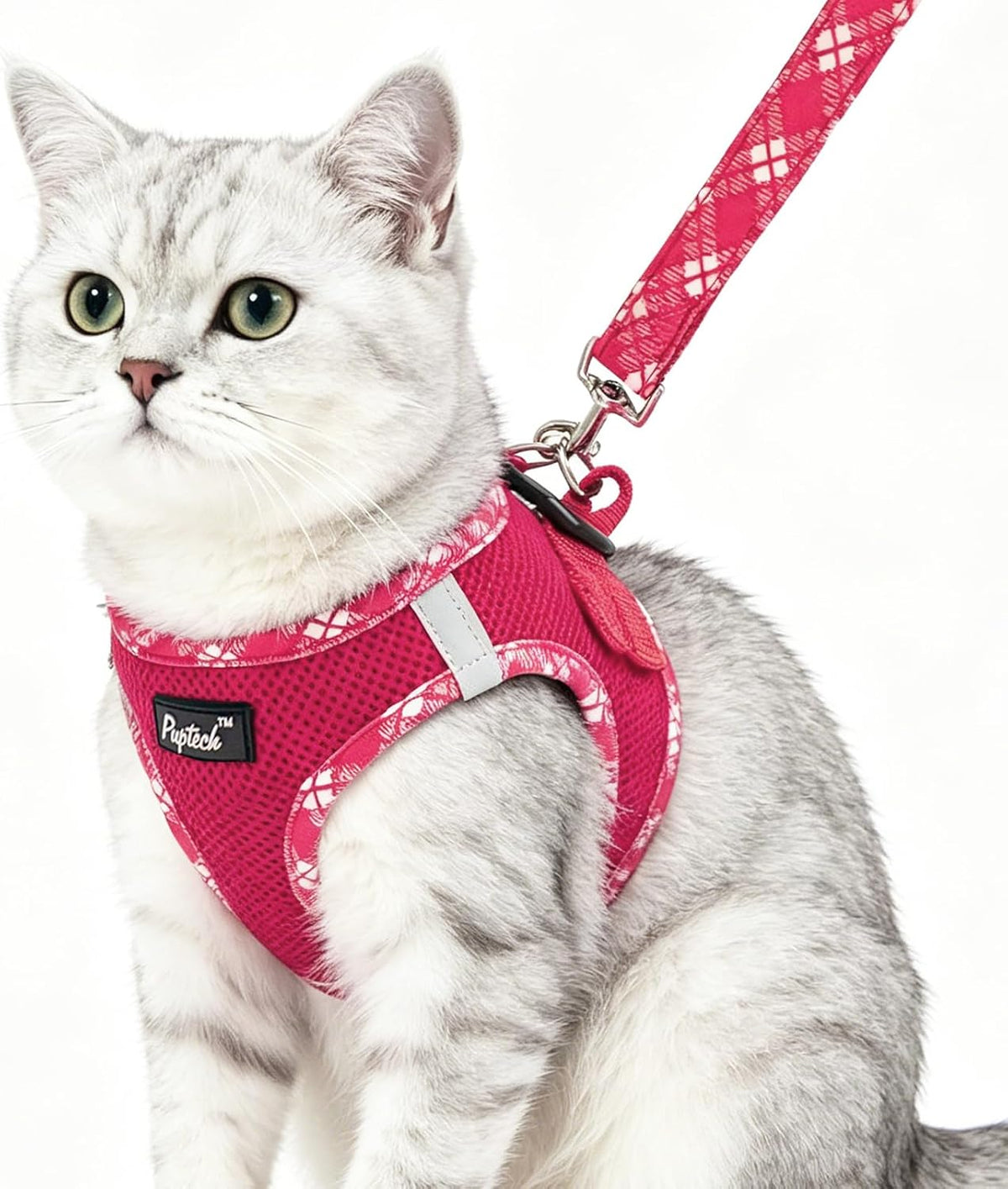 PUPTECK Cat Harness and Leash Set for Small Medium Cats, No Pull Step-in Soft Mesh Puppy Cat Vest Harnesses Reflective at Night, Green, S - Image 14