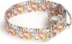 Close up of metal hardware on martingale dog collar