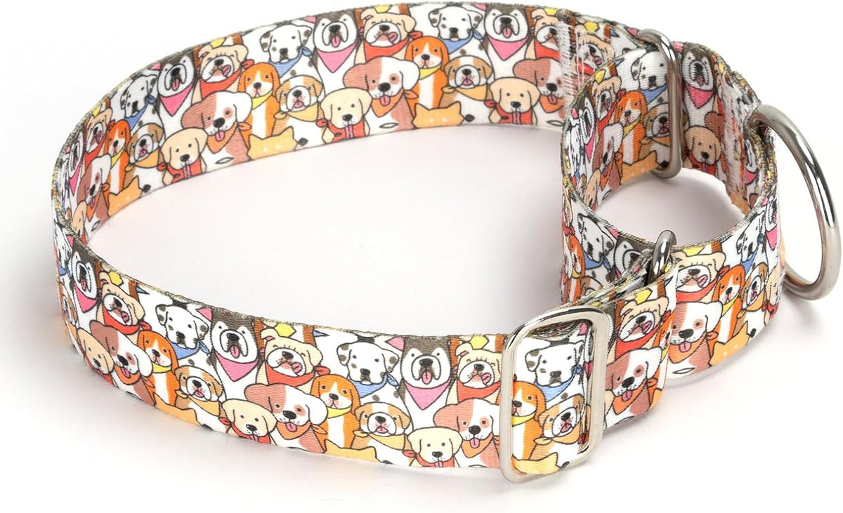 Close up of metal hardware on martingale dog collar