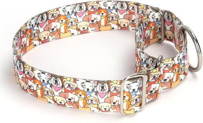 Close up of metal hardware on martingale dog collar