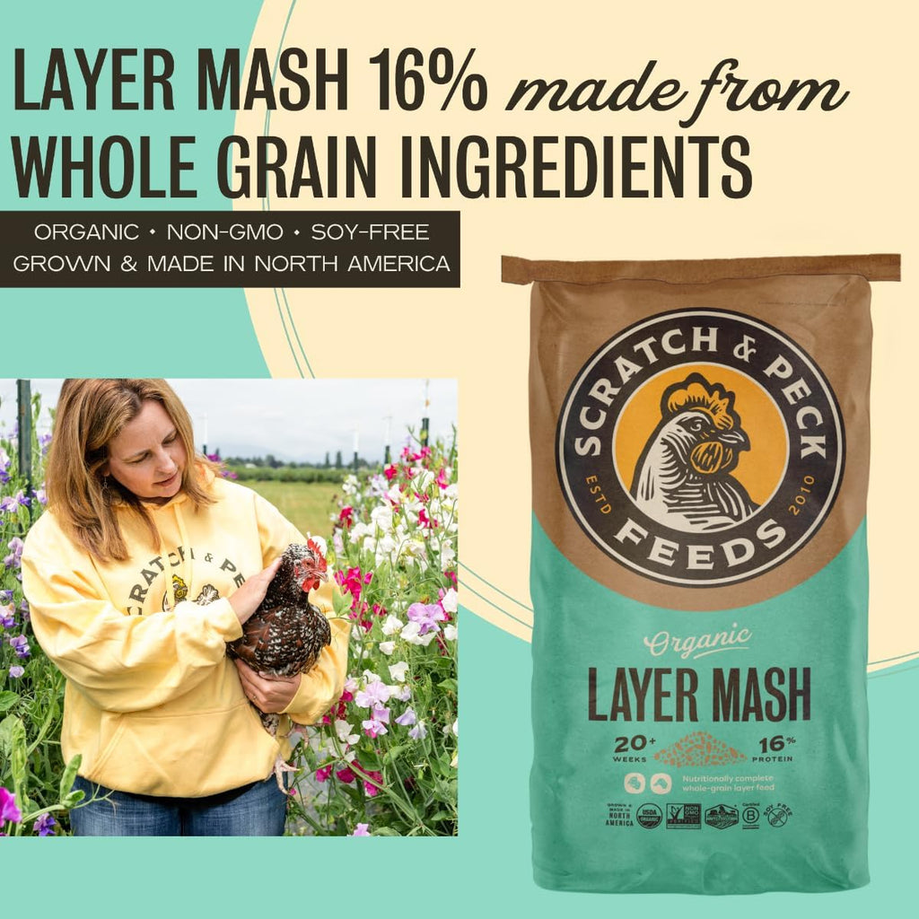 Close up of Scratch and Peck Feeds raw whole grain texture.