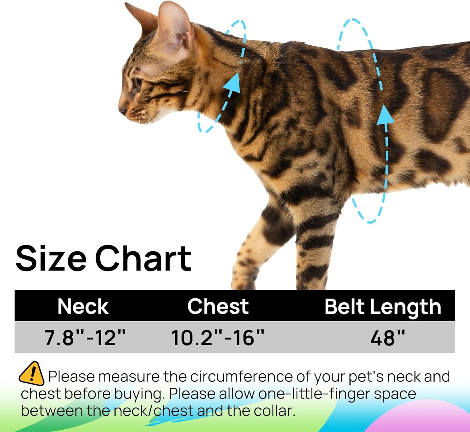 Detail of stainless steel D-ring on PetThem cat walking harness