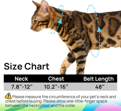 Detail of stainless steel D-ring on PetThem cat walking harness