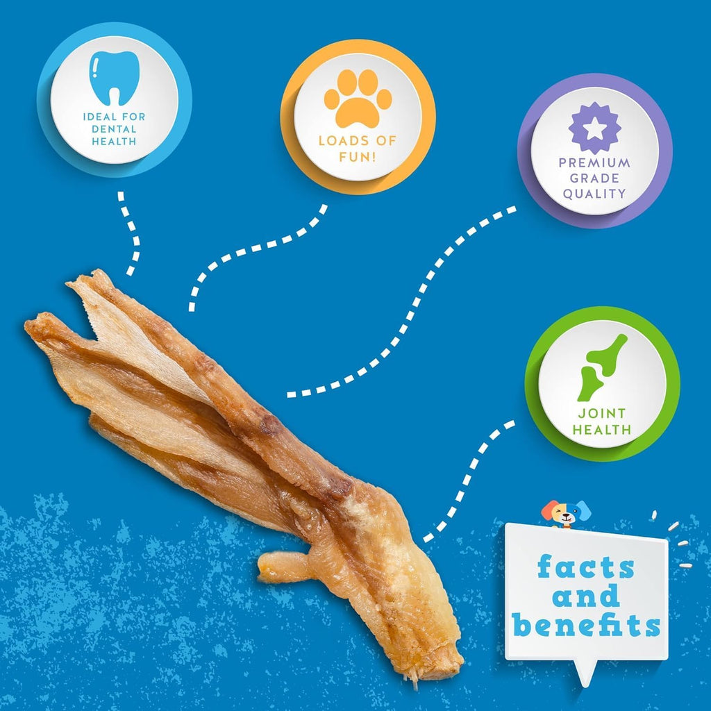 Close up of dehydrated duck feet for dogs on white background