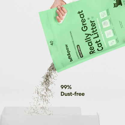 Really Great Cat Litter 9.25 pounds bag design