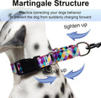 Fidohug quick release safety buckle operational view on nylon strap