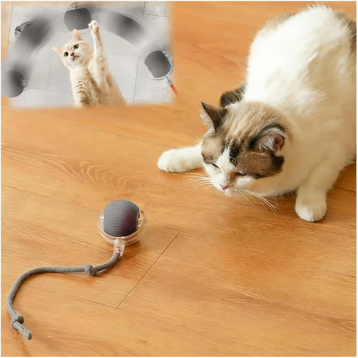 Interactive Cat Toys for Indoor Cats, Agility Move Cat Balls,Motion Activated Cat Balls, Cat Toys for Bored Indoor CatsGreen - Image 13