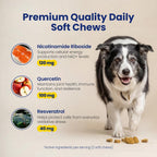 Boops Pets dog supplement containing quercetin and resveratrol for joint health.