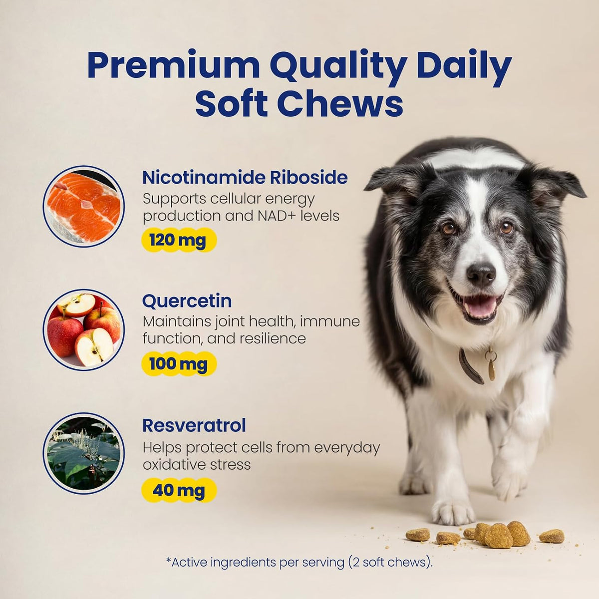 Boops Pets dog supplement containing quercetin and resveratrol for joint health.