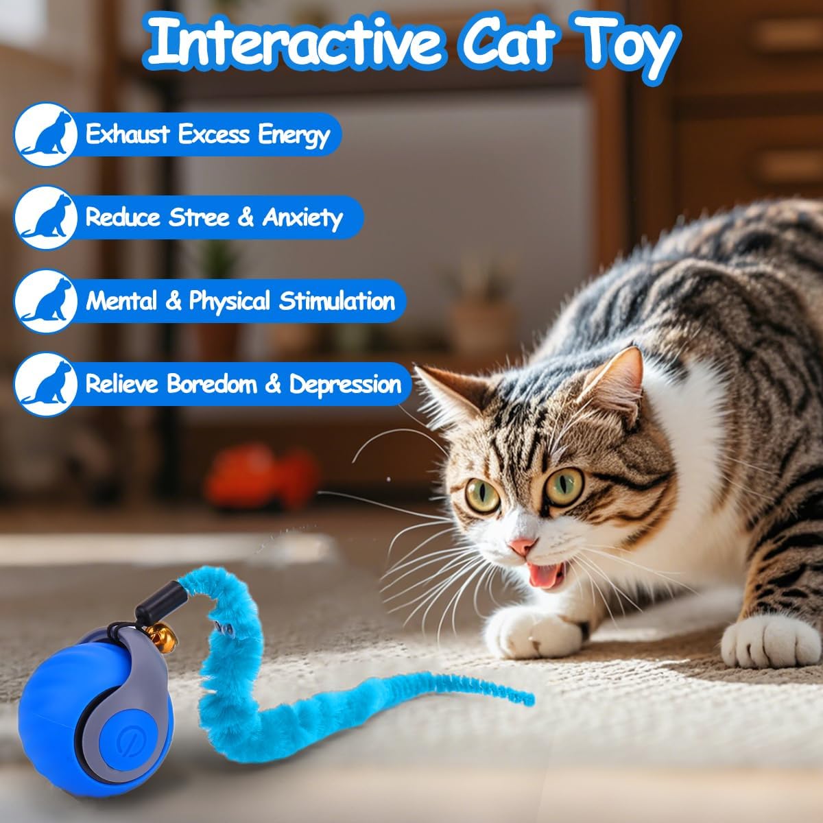 Mity Rain motion activated pet ball showing interchangeable worm and feather tail accessories designed for kitten stimulation.