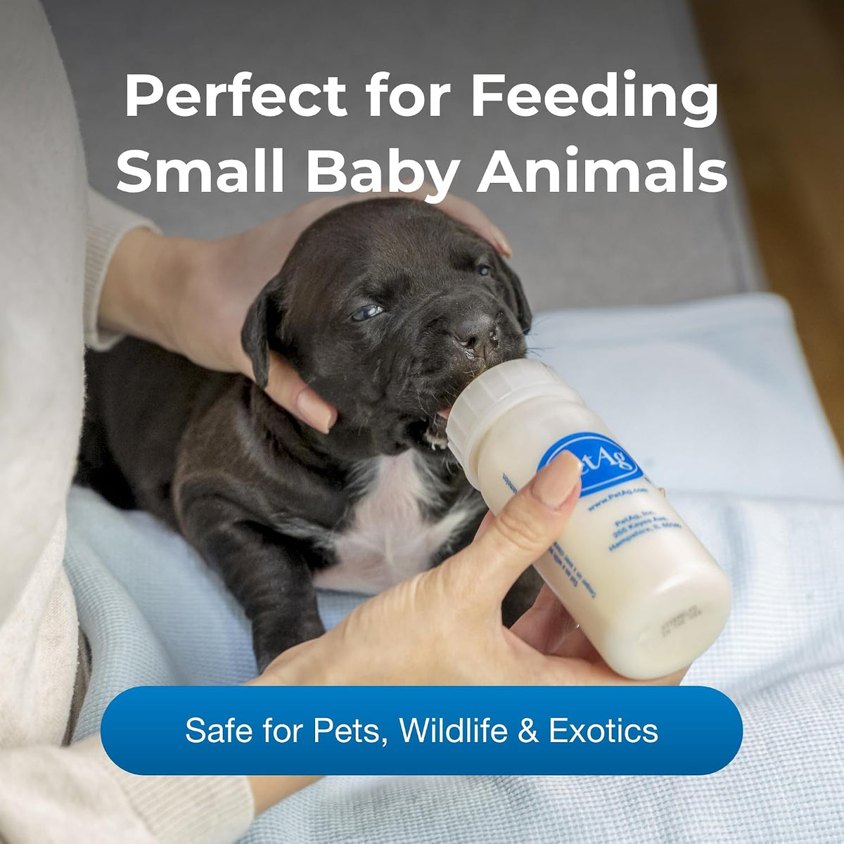 PetAg graduated nursing bottle with measurement markings clearly visible