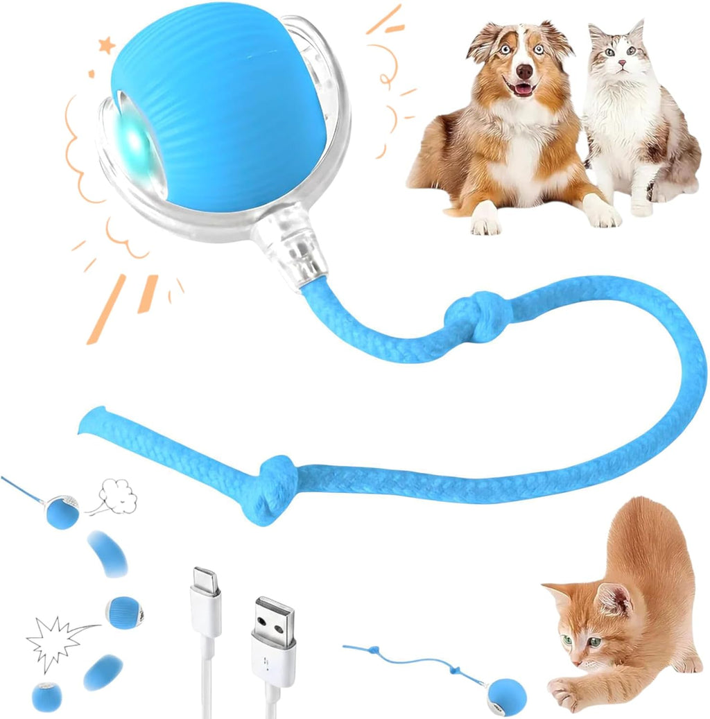 Purrmitive 2026 Durable Interactive Cat Toys for Indoor Cats, Dog Toys Ball, Rolling Pet Ball, Smart Automatic Cat Chase Balls Toy, Interactive Dog Toys Speedy Tail,Kitten & Cat Toys Interactive (Red) - Image 11