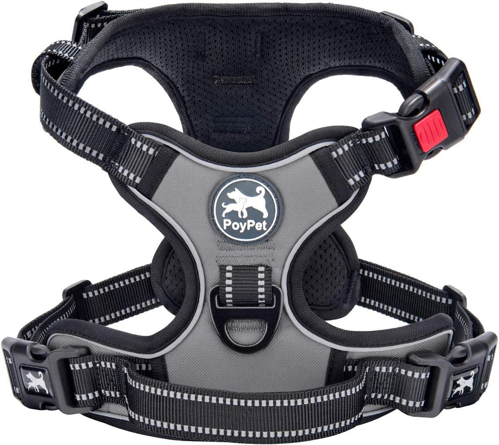 Reflective strips on PoyPet dog vest at night