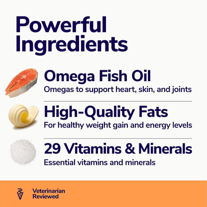 Dog eating food mixed with Miracle Vet weight gainer