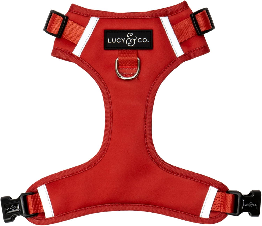 Lucy & Co. The Denim No-Pull Dog Harness - Size Small - Vest to Stop Pulling & Walk Easy - Comfortable Leash Training Product w/Adjustable Chest & Neck Straps - Image 12