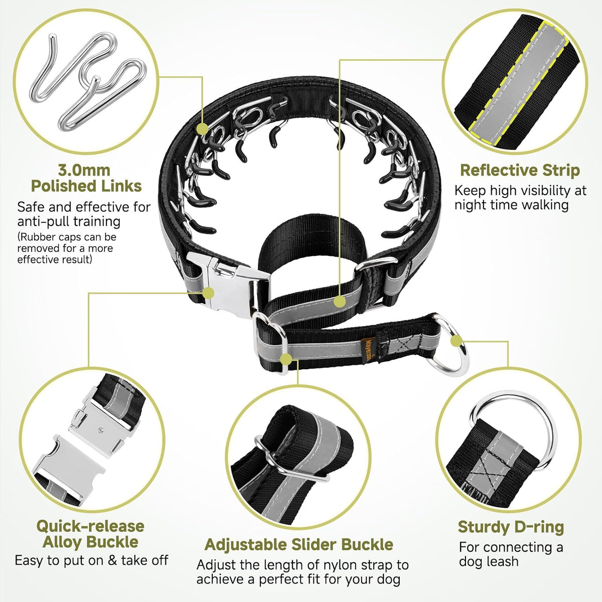 Mayerzon training collar with alloy buckle detail