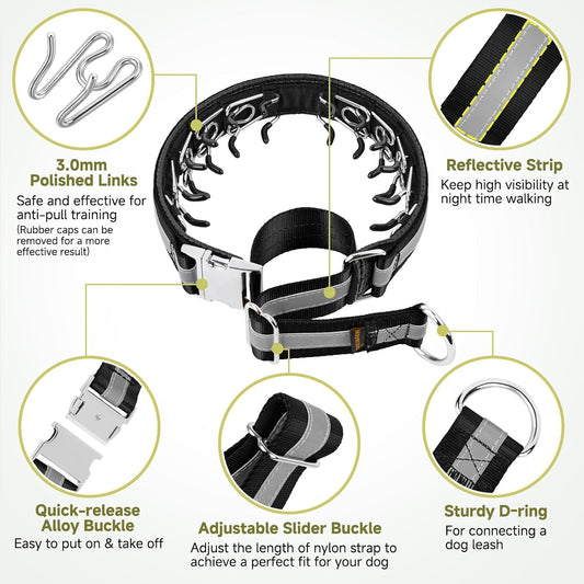 Mayerzon training collar with alloy buckle detail