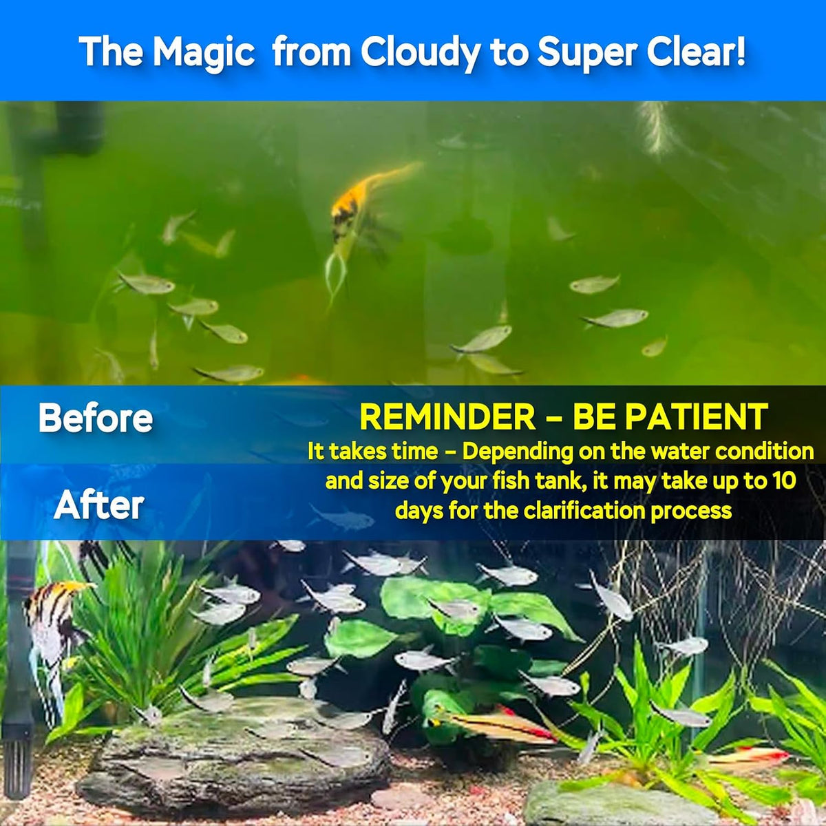 Submersible green water clean lamp installed inline with a canister filter setup