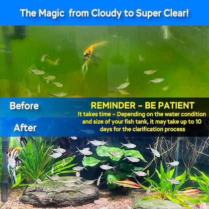 Submersible green water clean lamp installed inline with a canister filter setup
