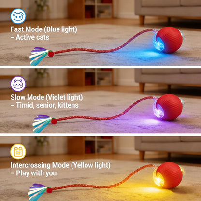 Yaruiguang automatic rolling pet ball with elastic mesh tail